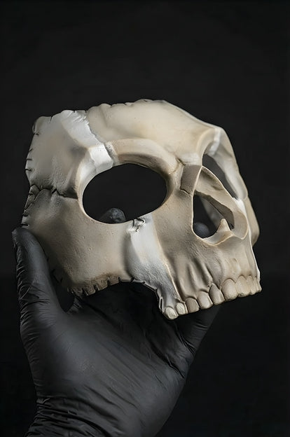 ☠️ Tactical Skull Mask – Military Operator Airsoft & Cosplay Mask (Handmade)
